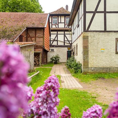 Forsthaus Halbemark Bad Sooden-Allendorf Exterior foto