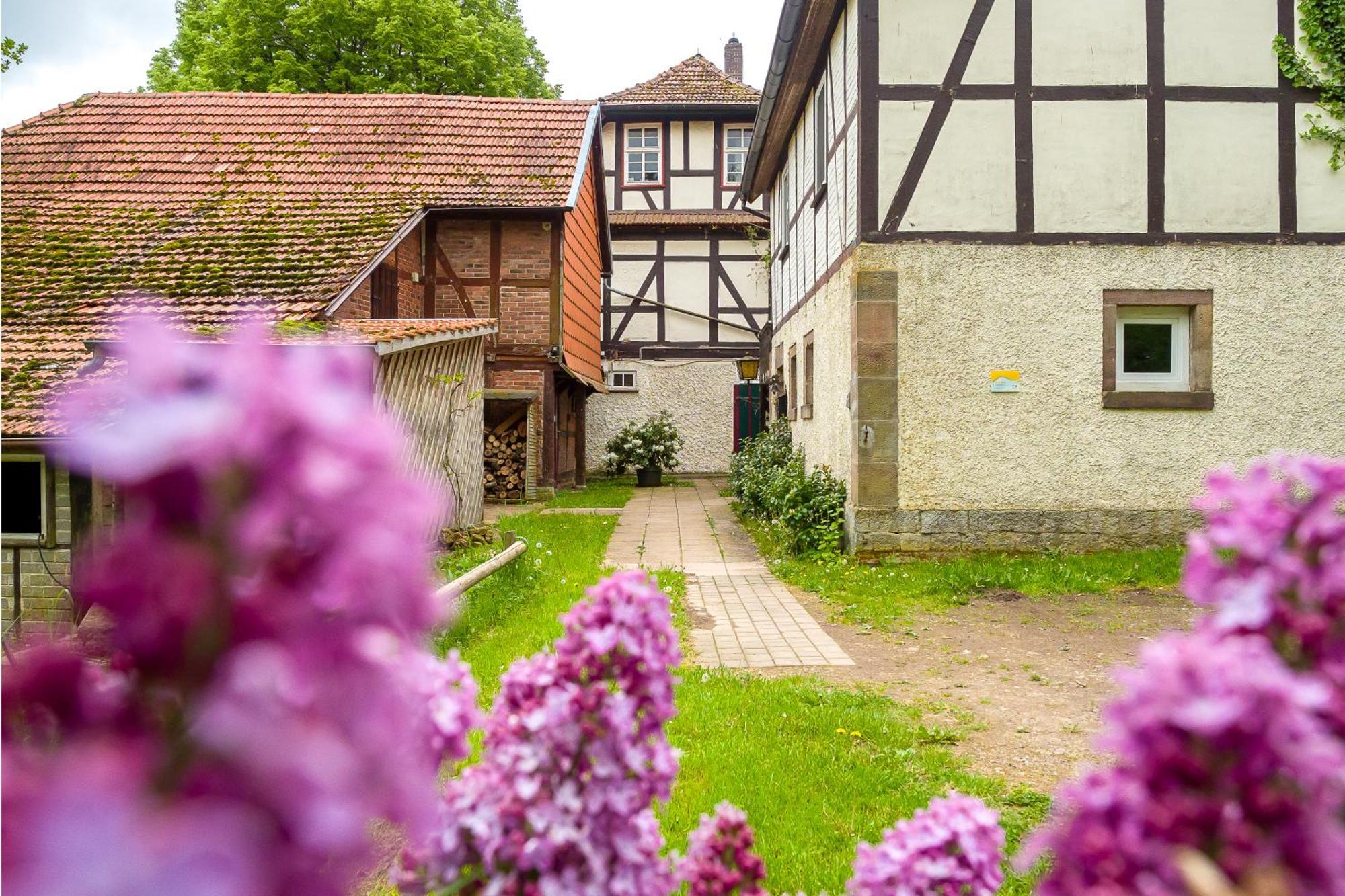 Forsthaus Halbemark Bad Sooden-Allendorf Exterior foto
